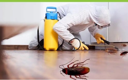 FOR 3 BHK COCKROACHES AND ANT CONTROLS 